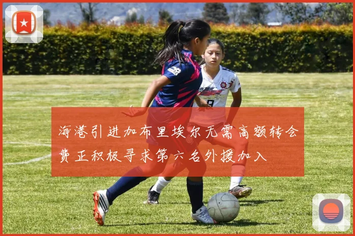 海港引进加布里埃尔无需高额转会费正积极寻求第六名外援加入