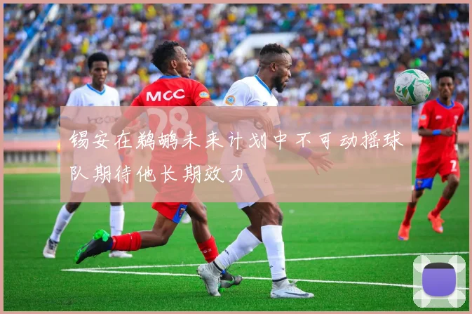 锡安在鹈鹕未来计划中不可动摇球队期待他长期效力